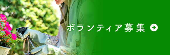 ボランティア募集