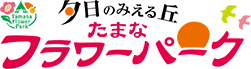 夕日の見える丘「たまなフラワーパーク」 | 熊本県玉名市にあるキャンプ場 お花の観光農園 みちパン