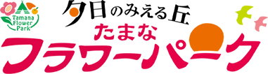 夕日の見える丘「たまなフラワーパーク」