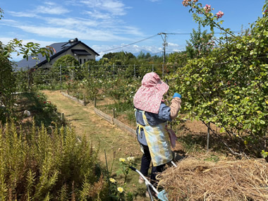 作業風景